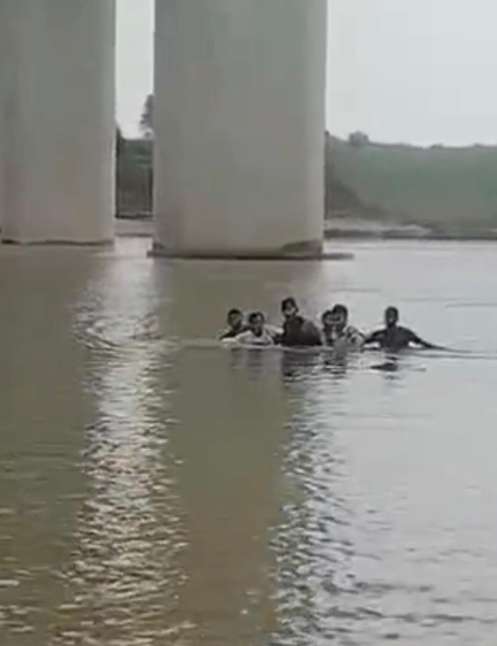 naidunia_image